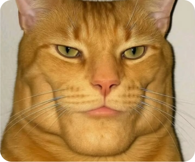 Финальный экран кейса о внедрении дизайн-системы