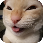 Иллюстрация с заметкой о проблемах масштабирования