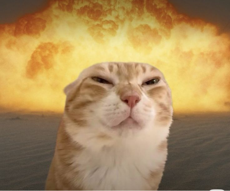 Финальный экран кейса о пересмотре процессов